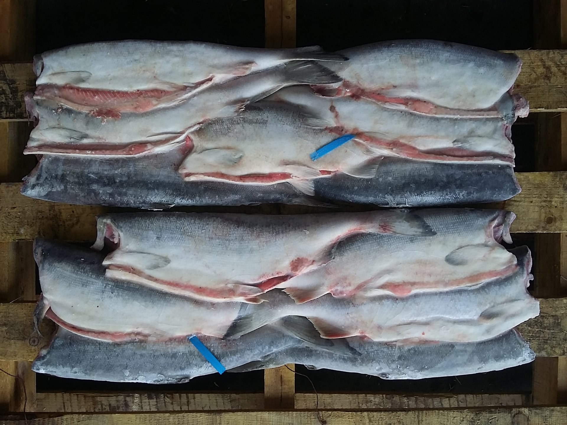 Горбуша потрошеная без головы